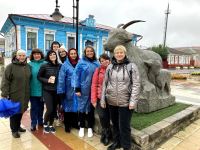 Серебряные «Волонтёры культуры»